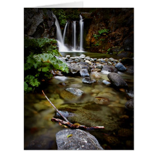 Automnes supérieurs de Crystal Creek