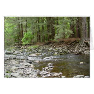 Automnes supérieurs de Raymondskill