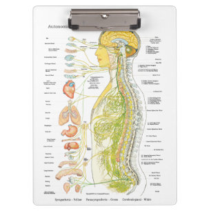 Autonomic Nervous System Doctors Office Clipboard