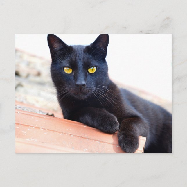 autour de la carte postale (Devant)