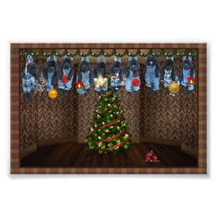 Autour des impressions de photos de Noël