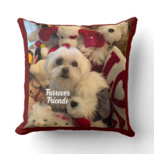 Autres Amis Décor Coussin animal