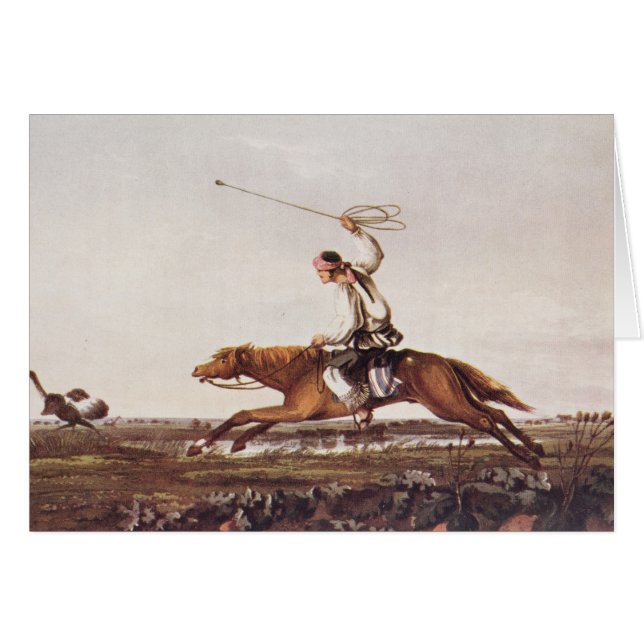 Autruches Balling (Devant horizontal)