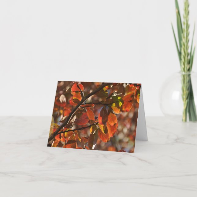 Autum leaves holiday card (Front)