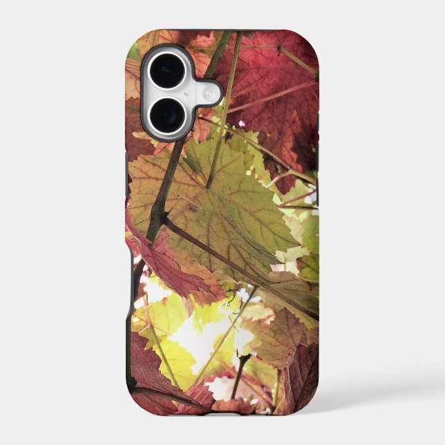 AUTUMN (Back)
