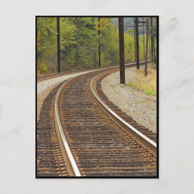 ~ Autumn ~ 14 Postcard (Front)