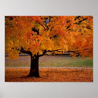 autumn (1) poster