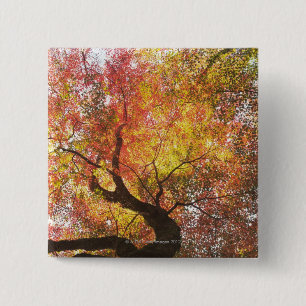 Autumn 2 Inch Square Button