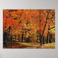 Autumn 30 bumped