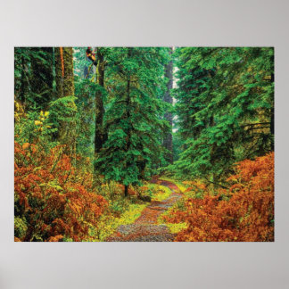 Autumn 31 cmyk poster