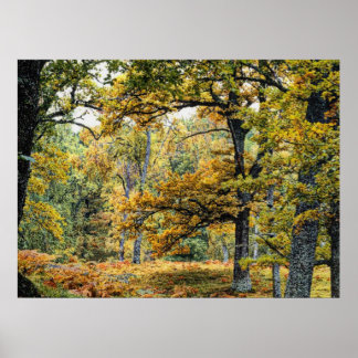 Autumn 34 poster
