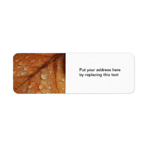 Autumn Address Label