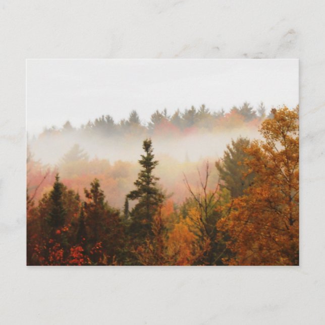 Autumn Adirondacks Trees Scene Landscape Postcard (Front)