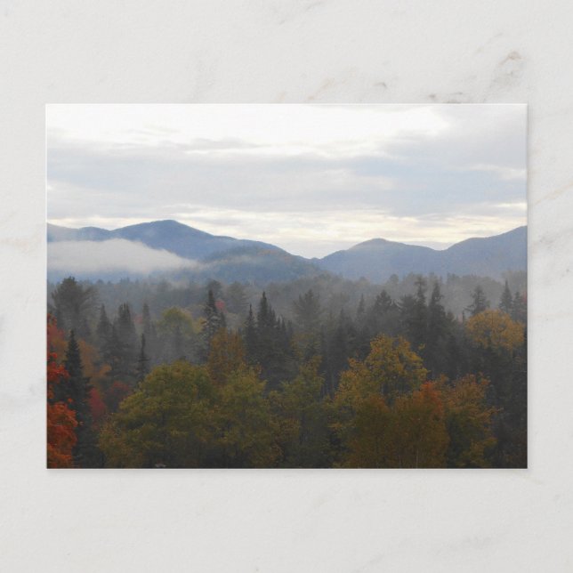 Autumn Adirondacks Trees Scene Landscape Postcard (Front)