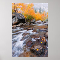 Autumn along Bishop Creek, CA