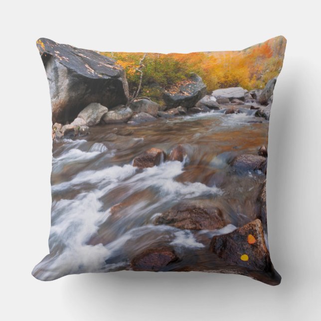 Autumn along Bishop Creek, CA Throw Pillow (Front)