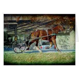 Autumn Amish Buggy Horse