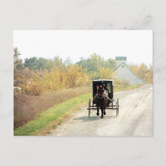 Autumn Amish Horse and Buggy Postcard (Front)