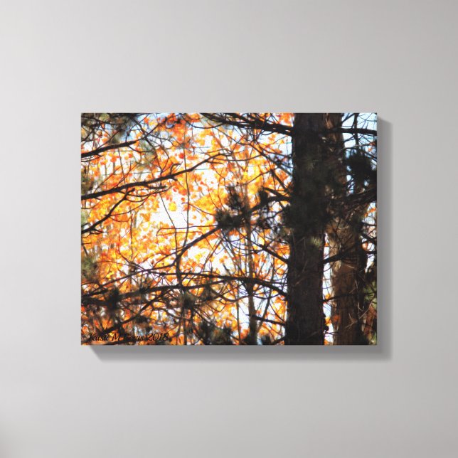 Autumn Among the Pines Canvas Print (Front)