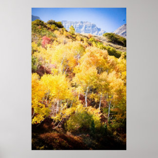 Autumn and Timp Poster
