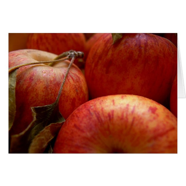 Autumn Apples (Front Horizontal)
