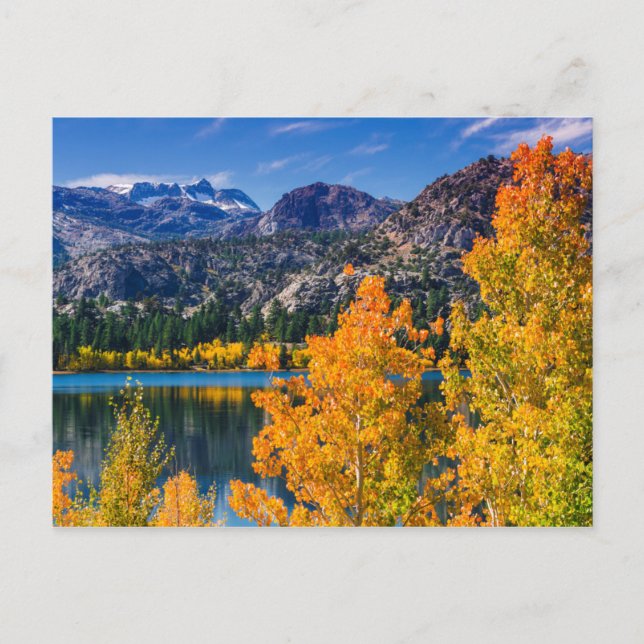 Autumn around June Lake, California Postcard (Front)