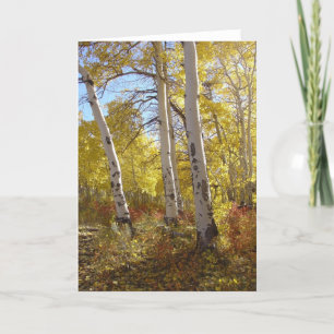 Autumn Aspen All Occasion Greeting Card