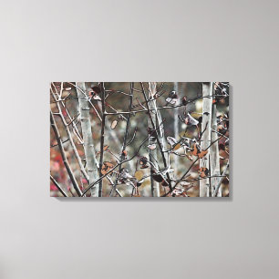 Autumn Aspen Canvas Print