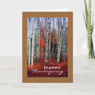 Autumn Aspen Grove, Thanksgiving Holiday Card