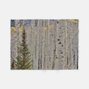 Autumn Aspen Groves   Colorado Rocky Mountains Fleece Blanket