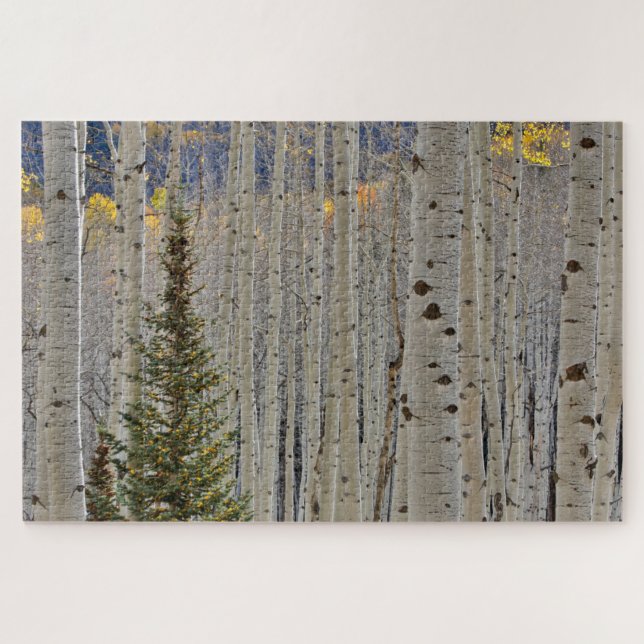 Autumn Aspen Groves | Colorado Rocky Mountains Jigsaw Puzzle (Horizontal)