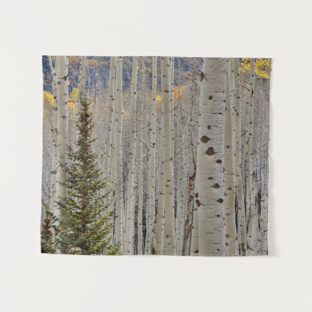 Autumn Aspen Groves | Colorado Rocky Mountains Tapestry (Front (Horizontal))