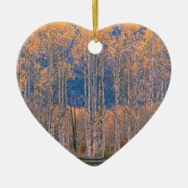 Autumn Aspen Splendour Jackson Hole Wyoming Ceramic Ornament (Front)