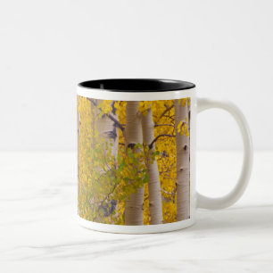 Autumn aspens in Kebler Pass in Colorado. Two-Tone Coffee Mug