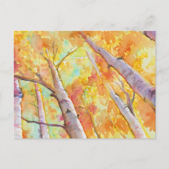 Autumn Aspens Postcard (Front)