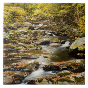 Autumn at Big Creek Tile