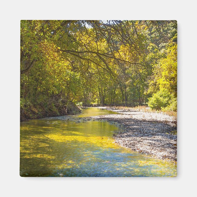 Autumn At Busiek Painterly Magnet (Front)
