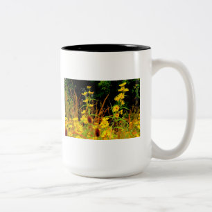Autumn At Carriage Hill #9 Two-Tone Coffee Mug