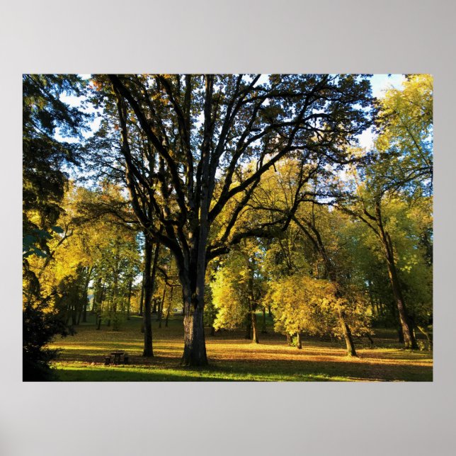 Autumn at Champoeg State Park, OR Poster (Front)