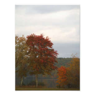 Autumn at Lake Arrowhead. Photo Print