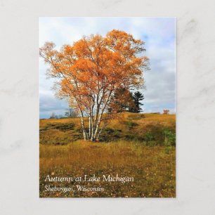 Autumn at Lake Michigan Postcard