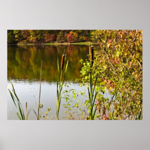 Autumn at Pond Poster