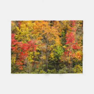 Autumn at Sims Pond North Carolina, Blue Ridge Fleece Blanket