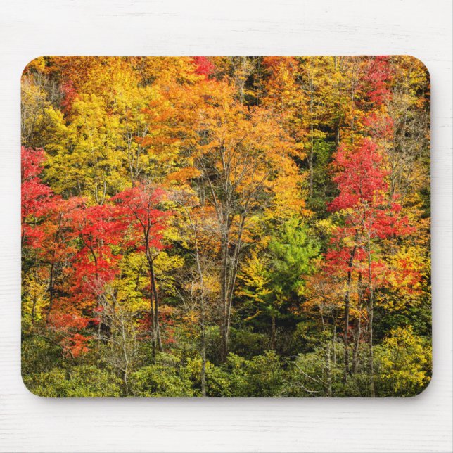 Autumn at Sims Pond North Carolina, Blue Ridge Mouse Pad (Front)