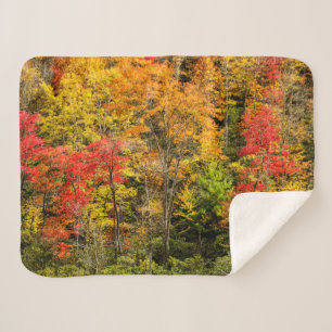Autumn at Sims Pond North Carolina, Blue Ridge Sherpa Blanket