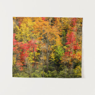 Autumn at Sims Pond North Carolina, Blue Ridge Tapestry