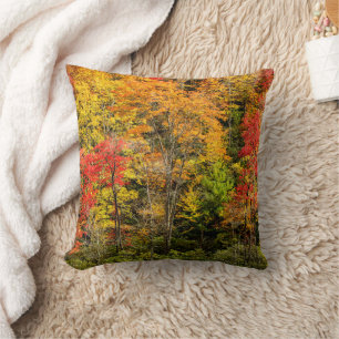 Autumn at Sims Pond North Carolina, Blue Ridge Throw Pillow