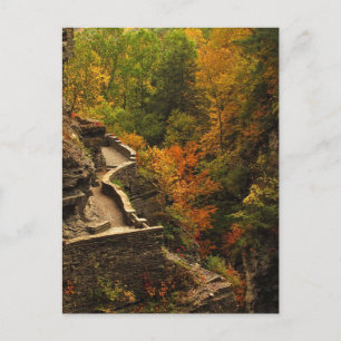 Autumn at Treman State Park Postcard