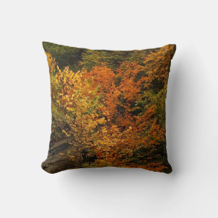 Autumn at Treman State Park Throw Pillow