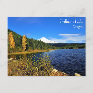 Autumn at Trillium Lake, OR Postcard